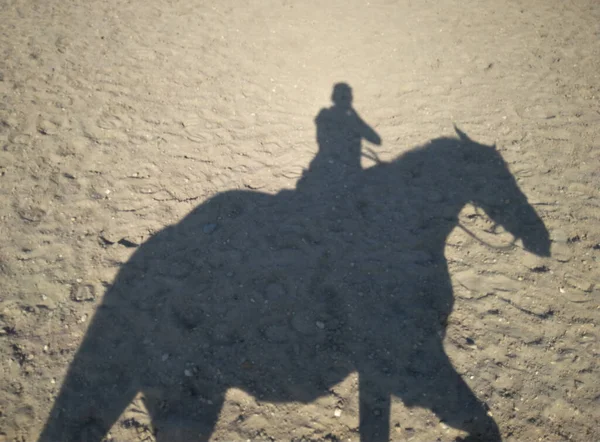 Réflexion Sur Sable Homme Chevauchant Cavalier Silhouette Cheval — Photo