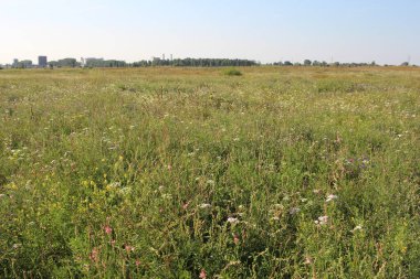 Yazın yeşillik ve çayırlık çiçeklerle kaplıdır.