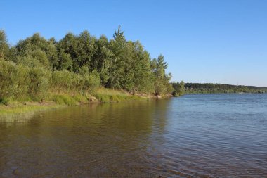 Yazın gölette balık tutmak için kıyıda çalılığı olan bir nehir.