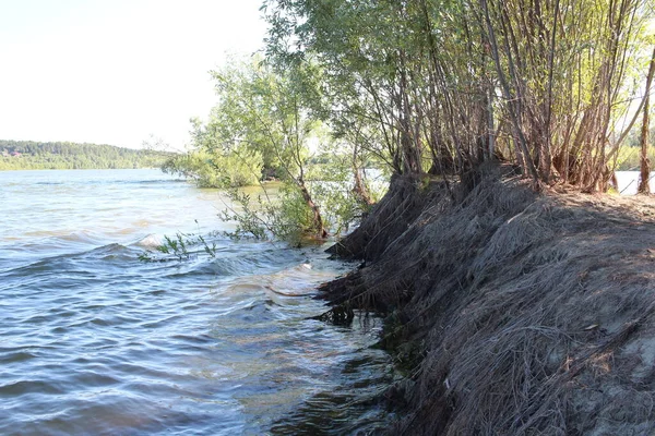 Sungai Dengan Teluk Tepi Semak Untuk Memancing Musim Panas Kolam — Stok Foto