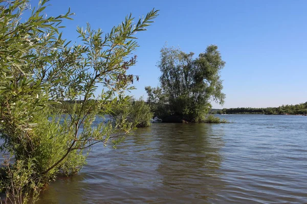 Река Бухтой Берегу Куста Рыбалки Летом Пруду — стоковое фото