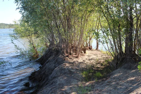 Fluss Mit Einer Bucht Ufer Busch Zum Angeln Sommer Teich — Stockfoto