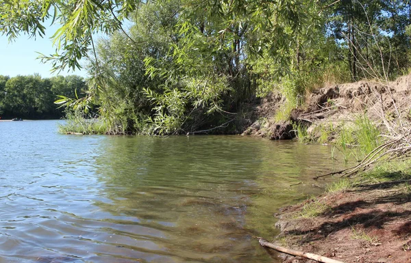 Sungai Dengan Teluk Tepi Semak Untuk Memancing Musim Panas Kolam — Stok Foto