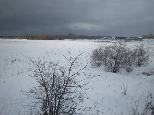 Белый Снег Зимой Облачную Погоду Сибирь Лесу — стоковое фото