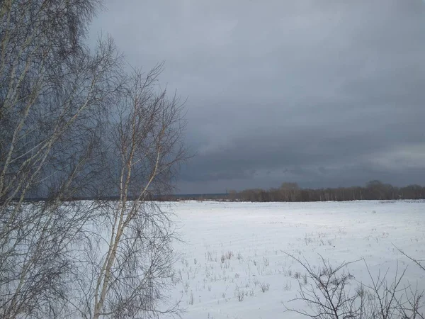 Biały Śnieg Zimą Pochmurną Pogodę Syberia Lesie — Zdjęcie stockowe