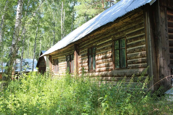 夏天草村的旧木屋 — 图库照片