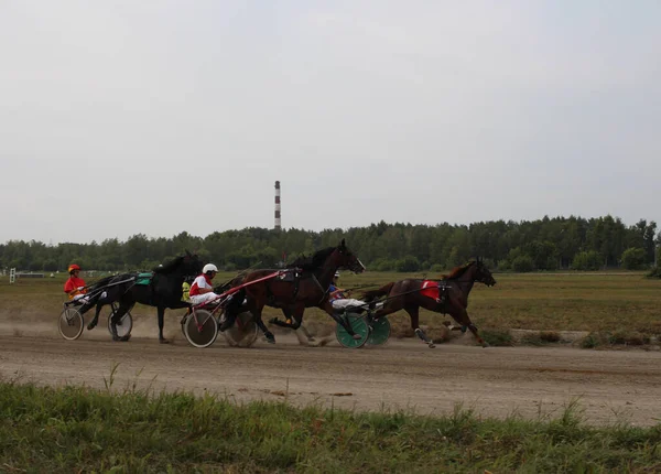 Rosja Nowosybirsk 2019 Konie Zaprzęgnięte Wózka Dżokejem Torze Wyścigowym Zawodach — Zdjęcie stockowe