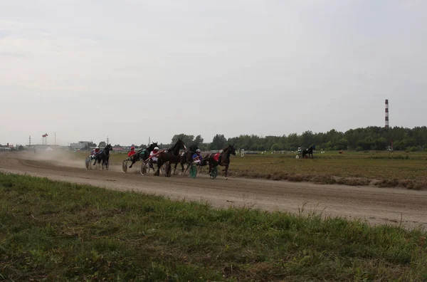 Rusko Novosibirsk 2019 Koně Připoutaní Vozíku Žokejem Závodní Dráze — Stock fotografie