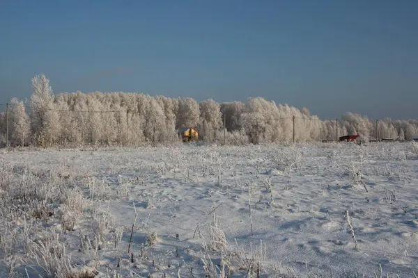 Winter Van Sneeuw Siberië Natuur Met Bomen Huis Het Bos — Stockfoto