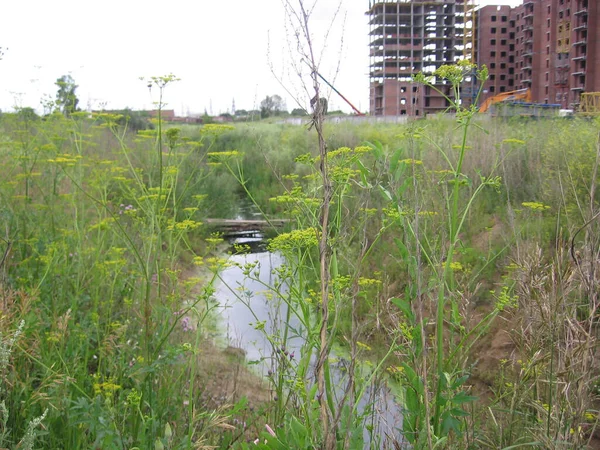 Russie Novossibirsk 2008 Maison Chantier Avec Planchers Dans Herbe Sur — Photo