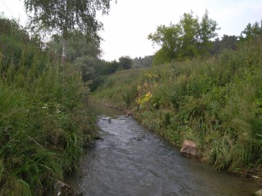 Yazın çimlerde küçük bir nehir doğada bankalarla birlikte.