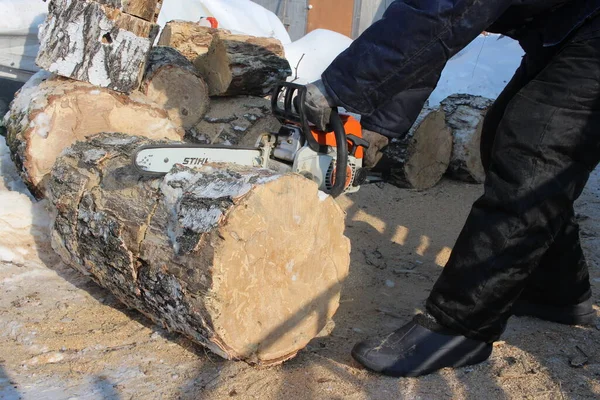 Russia Novosibirsk 2021 Man Saws Tree Electric Saw Harvesting Firewood — Stock Photo, Image