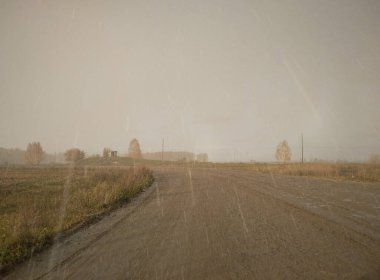 Sonbaharda ıslak yol, orman yolculuğunda ağaçlarda sarı yapraklar...