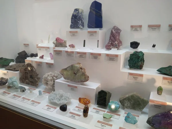Rusya, Novosibirsk 10.11.2019: sergi için taş örnekleri ve jeolojik mineraller sergileniyor