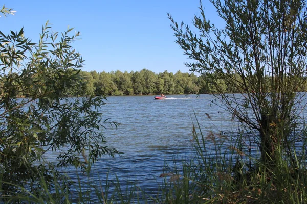 Ryssland Novosibirsk 2020 Man Båt Flyter Floden Genom Ett Snår — Stockfoto