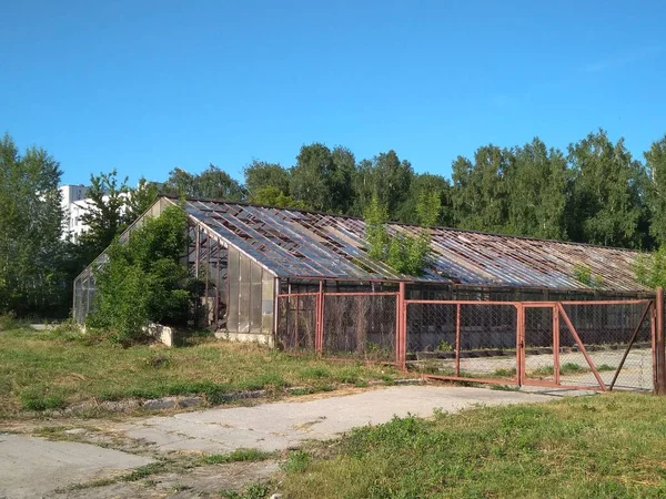 Habitación Rota Abandonada Para Cultivo Verduras Invernadero Con Ventanas Rotas — Foto de Stock