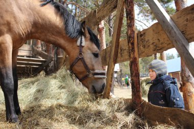 Rusya, Novosibirsk 27.04.2019: küçük bir çocuk ve bir atlı çocuk çiftlikteki bir hayvana bakıyor