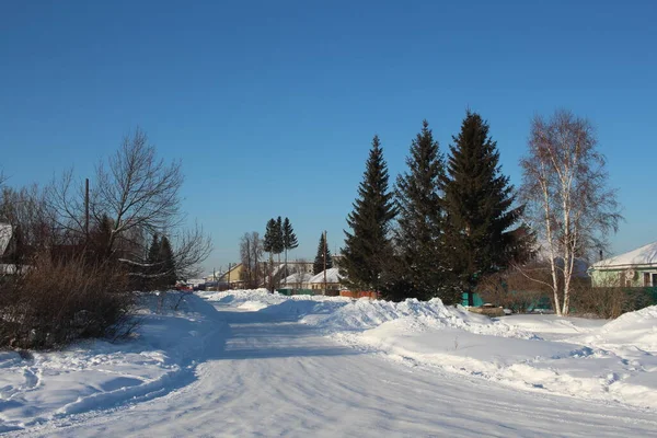 Zimą Syberii Wiejski Krajobraz Choinkami Zaspy Śnieżne — Zdjęcie stockowe