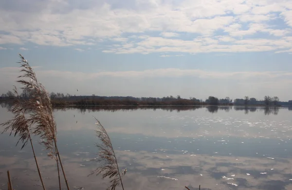 Étang Lac Pour Pêche Dans Les Fourrés Rivière Calme — Photo