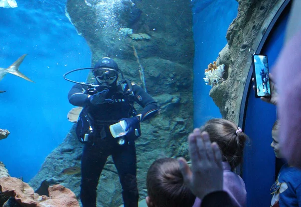 ロシア ノヴォシビルスク09 2020 水族館の子供たちの海底に急落した水中スキューバダイバーは海のショーを見る — ストック写真