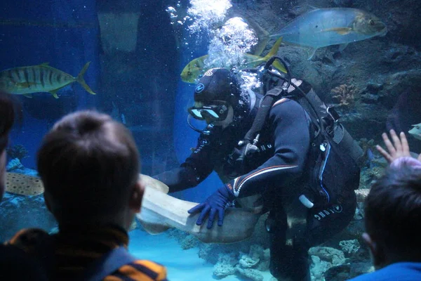 Rusia Novosibirsk 2020 Buceador Sumergido Hasta Fondo Acuario Los Niños — Foto de Stock