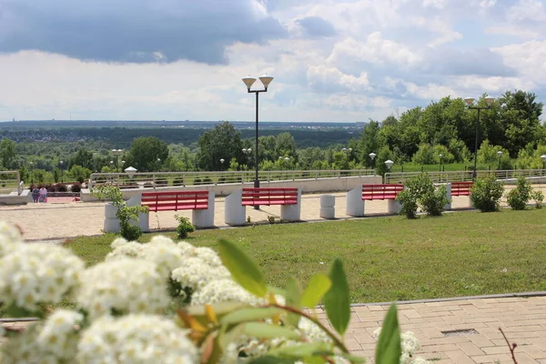 Eğlence Için Bir Park Yazın Ağaçlarla Birlikte Ufukta Gökyüzü Olan — Stok fotoğraf