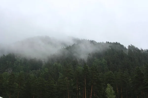 Montagne Nella Nebbia Sulle Cime Delle Nuvole Nella Natura Altai — Foto Stock