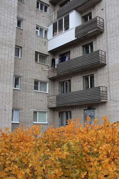 Rosja Nowosybirsk 2019 Wielopiętrowy Budynek Mieszkalny Mieście Balkonami Fasadzie — Zdjęcie stockowe