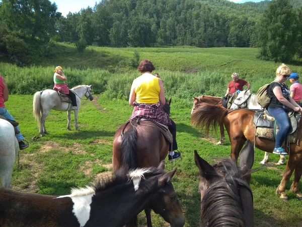 Russie Altaï 2018 Équitation Pour Les Touristes Dans Les Montagnes — Photo