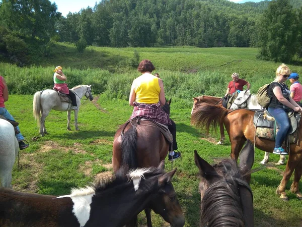 Russland Altai 2018 Reiten Für Touristen Altai Gebirge Aktive Erholung — Stockfoto