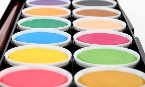 Paints of different colors and slim paintbrush (brush) — Stock Photo, Image