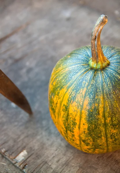 Green, yellow pumpkin on wooden background — Stock Photo, Image