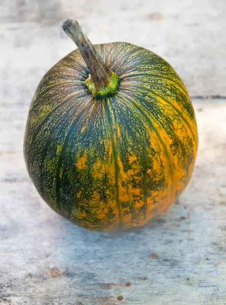 Green, yellow pumpkin on wooden background — Stock Photo, Image