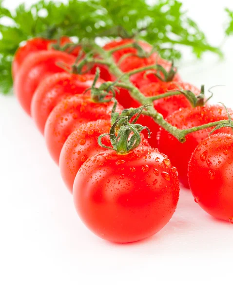 Juicy organic Cherry tomatoes with green leaf isolated over whit — Stock Photo, Image