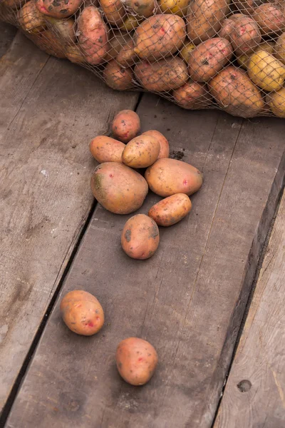 Φρέσκιες πατάτες συγκομίζονται με χώμα ακόμα στο δέρμα, εκροή o — Φωτογραφία Αρχείου