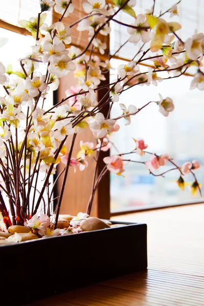 창 근처 벚꽃 (사쿠라) — 스톡 사진