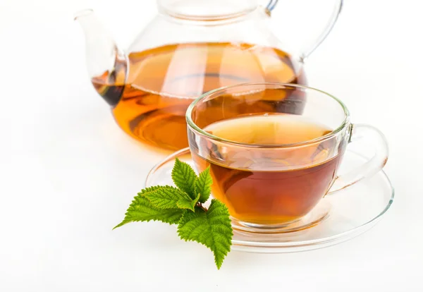 Složení čaj s listy máty na bílém — Stock fotografie