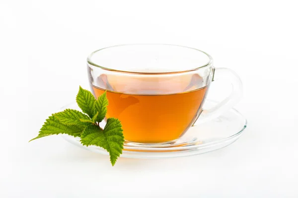 Skla šálek čaje s lístkem máty, izolovaných na bílém pozadí — Stock fotografie