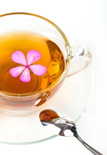 Skla šálek čaje s lístkem máty a růžový květ, izolovaných na bílém — Stock fotografie