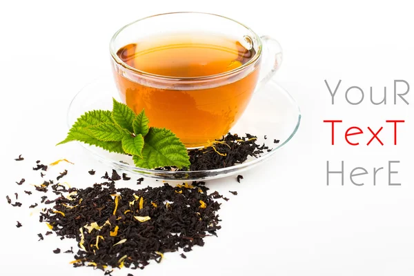 cam fincan çay nane yaprağı, beyaz zemin üzerine izole