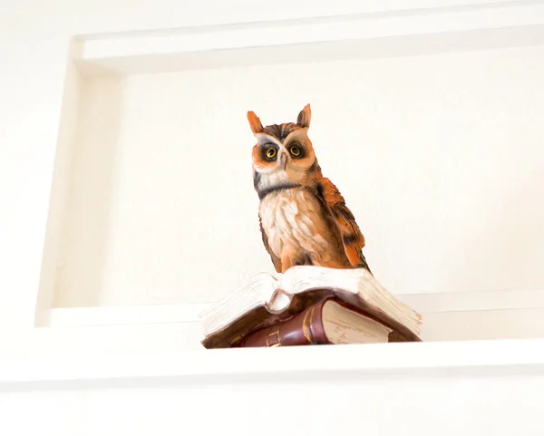 Sculpture animale - Hibou lisant un livre — Photo