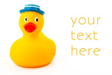 plastik oyuncak ördek beyaz zemin üzerine izole mavi şapka ile