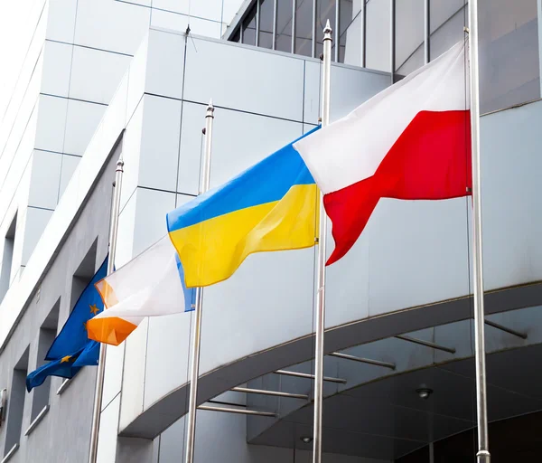 Avrupa Birliği, Ukrayna, Polonya ve diğer bayraklar o