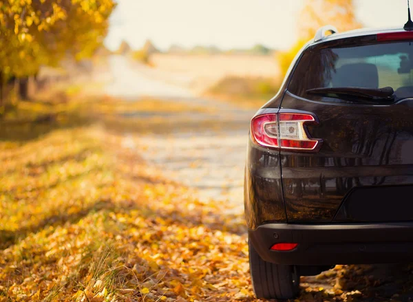 Das Auto auf dem Naturparkplatz in der Nähe des Herbstparks — Stockfoto