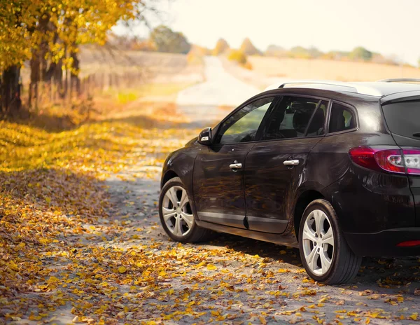 Doğa sonbahar park yakınındaki otomobili