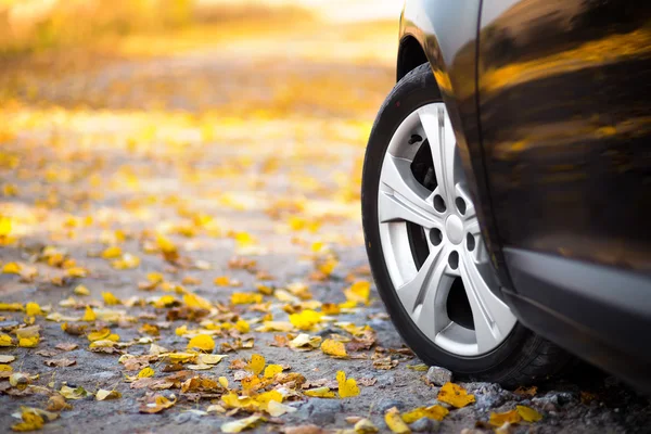 Auto na přírodu. Kola a pneumatiky closeup poblíž podzimní park — Stock fotografie