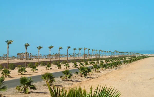 Strada desertica nella regione del Mar Rosso, Egitto — Foto Stock