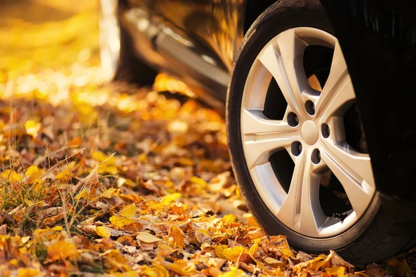 El coche en la naturaleza. Primeros planos de ruedas y neumáticos cerca del parque de otoño Imágenes de stock libres de derechos