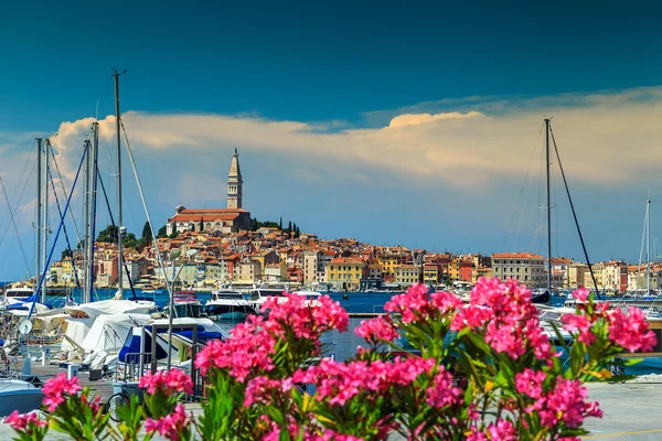 Espectacular paisaje urbano con el casco antiguo de Rovinj, región de Istria, Croacia, Europa — Foto de Stock