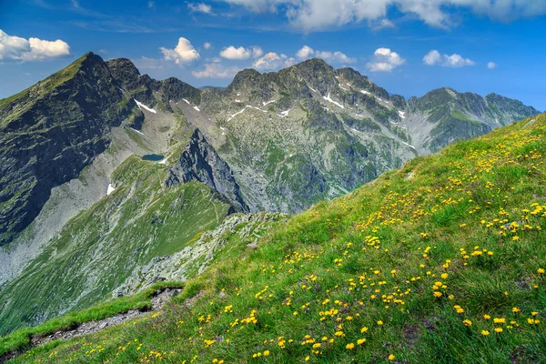 Hohe zackige Bergrücken mit gelben Löwenzahnblüten, Fagaras, Rumänien — Stockfoto
